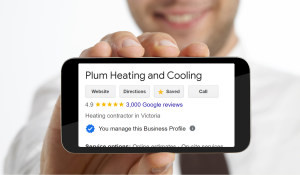 Plum Reviews